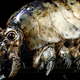 Image for article titled There's now a chance you can own actual bits of Pacific Rim